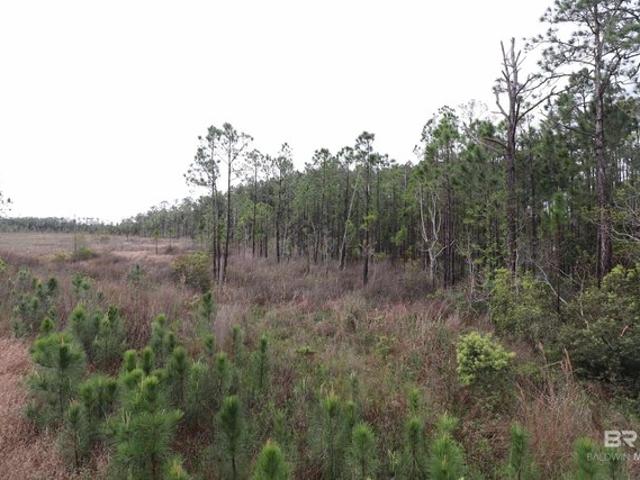 Land for sale in Gulf Shores, Alabama
