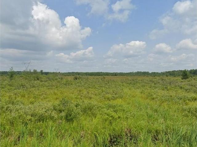 Land for sale in Carlton, Minnesota