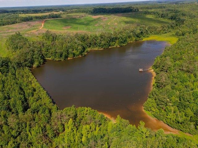 Land for sale in Ripley, Mississippi