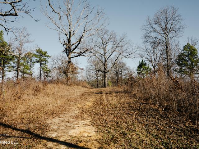 Land for sale in Coffeeville, Mississippi