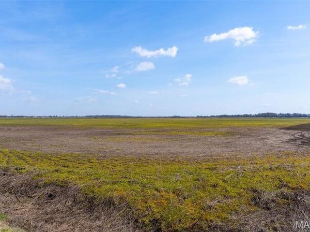 Farm for sale in Matthews, Missouri