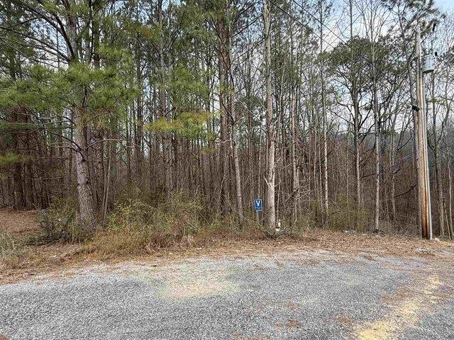Land for sale in Cullman, Alabama