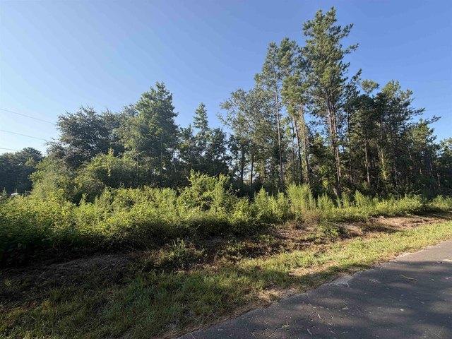 Land for sale in Jasper, Texas
