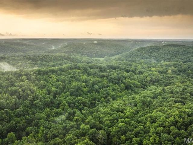 Land for sale in Phelps, Missouri