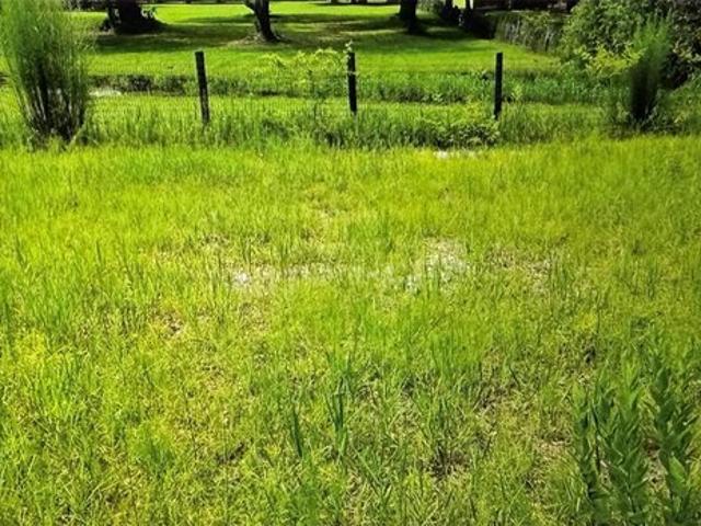 Land for sale in Webster, Sumter County