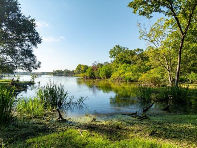 Land for sale in Limestone, Texas