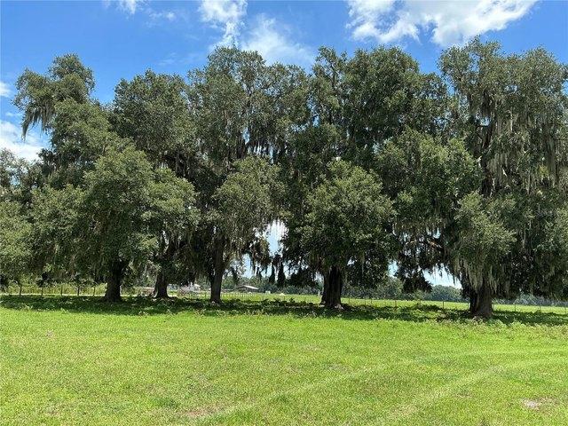 Land for sale in Webster, Florida