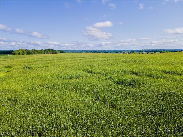 Land for sale in Brinkhaven, Ohio