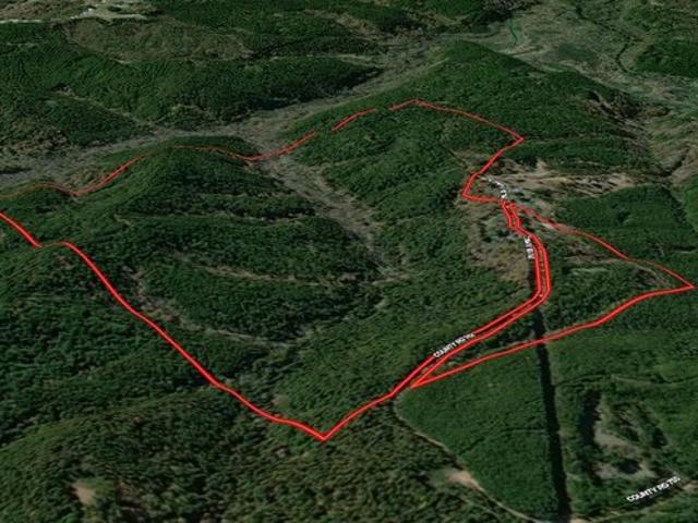 Land for sale in Walnut, Mississippi