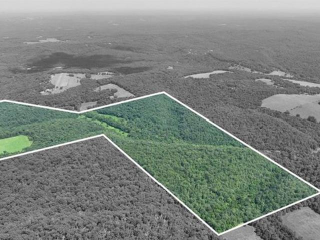 Land for sale in Ava, Missouri