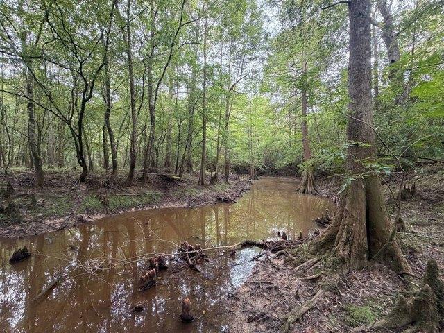 Land for sale in Troy, Pike County