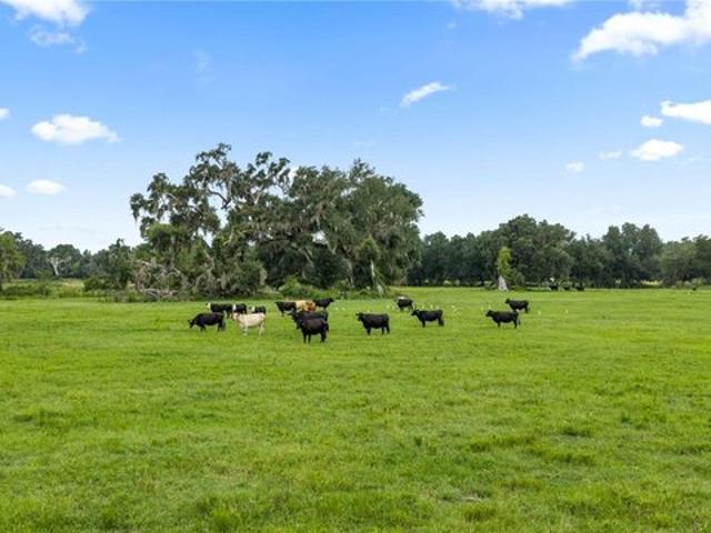 Land for sale in Webster, Florida