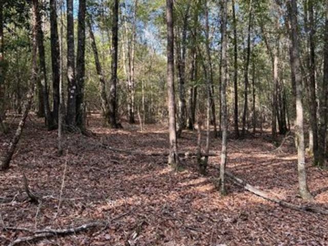 Land for sale in Billingsley, Autauga County