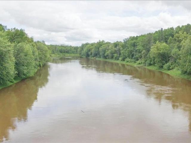 Land for sale in Littlefork, Minnesota