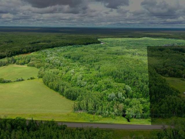 Land for sale in Littlefork, Minnesota