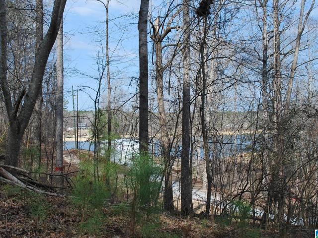 Land for sale in Lineville, Alabama
