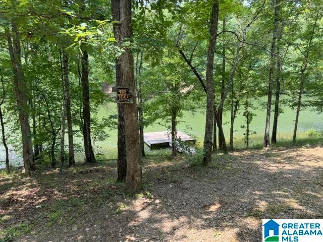 Land for sale in Wedowee, Alabama