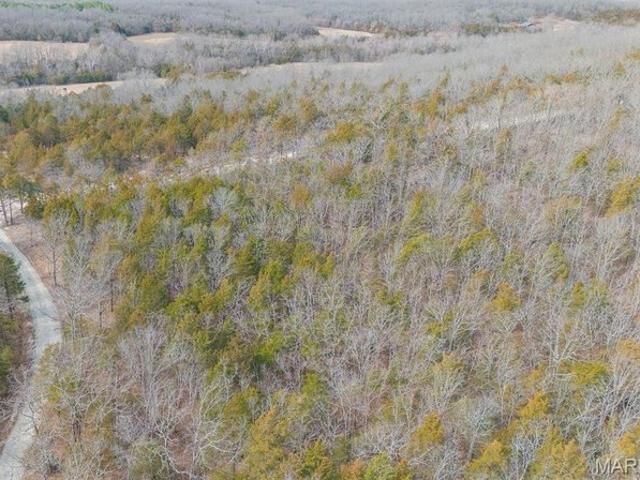 Land for sale in Phelps, Missouri