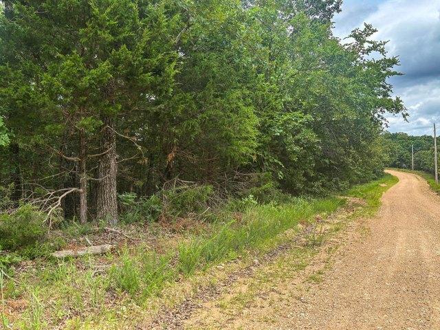 Land for sale in Gainesville, Missouri
