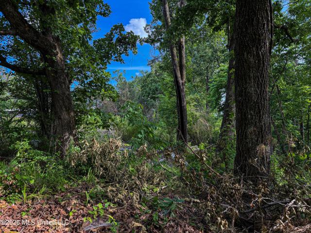 Land for sale in Blue Mountain, Mississippi