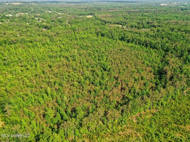 Land for sale in Blue Mountain, Mississippi