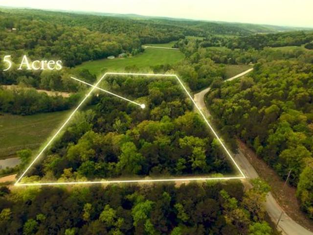Land for sale in Gainesville, Missouri