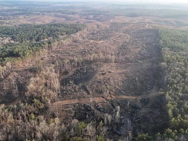 Land for sale in Coffeeville, Mississippi