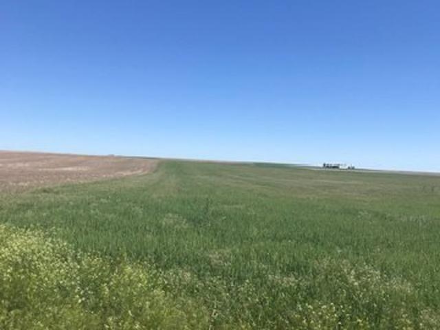 Land for sale in Nebraska