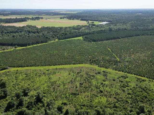 Land for sale in Elberta, Alabama