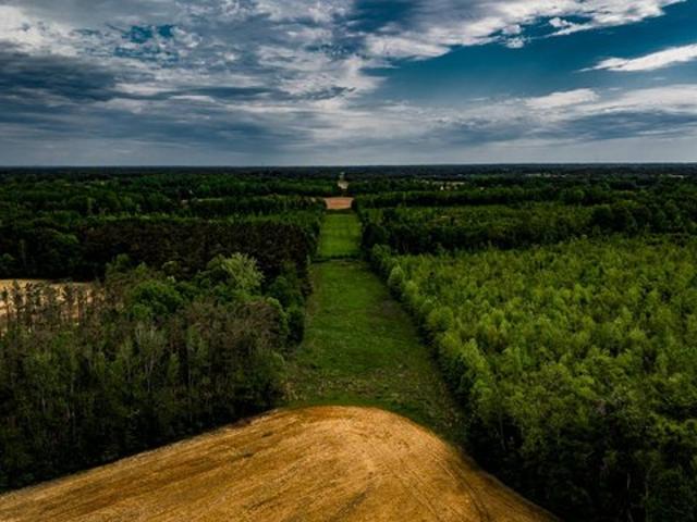 Land for sale in New Albany, Mississippi