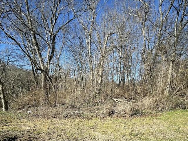 Land for sale in Tennessee