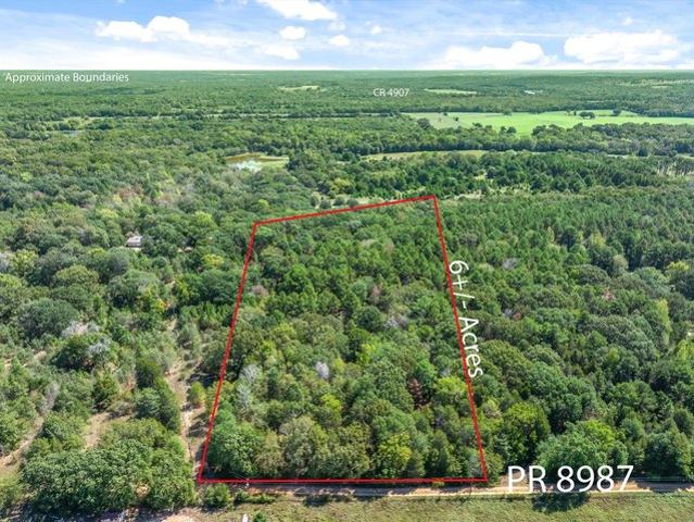 Land for sale in Texas