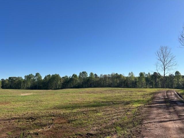 Land for sale in Tallapoosa, Alabama