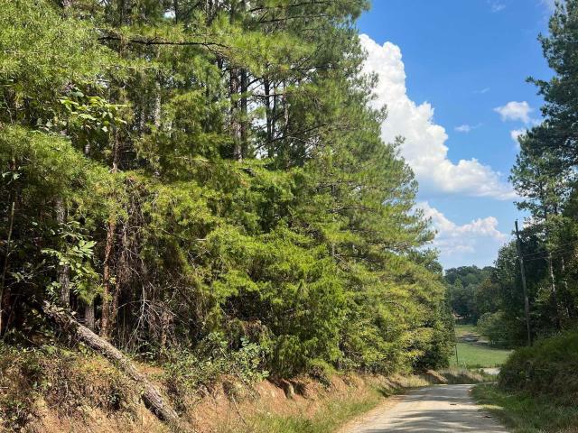 Land for sale in Clanton, Chilton County