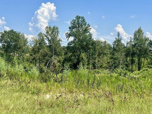 Land for sale in Vossburg, Mississippi