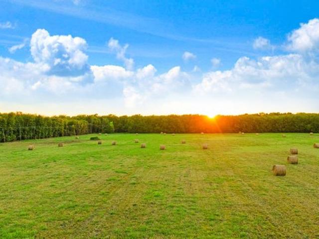 Land for sale in Paris, Lamar County