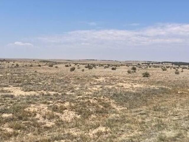 Land for sale in Colorado