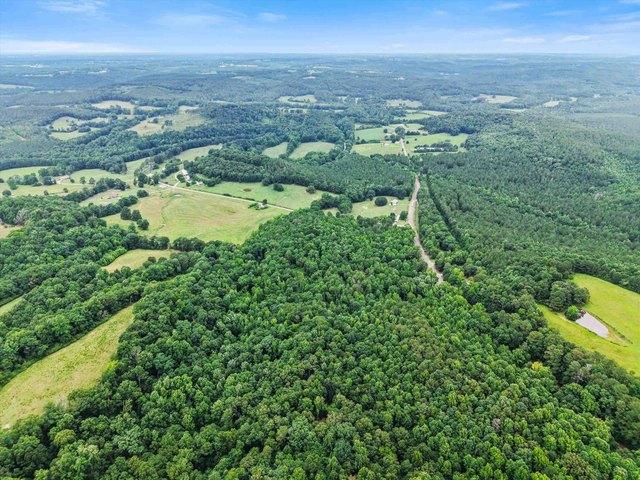 Land for sale in Alabama