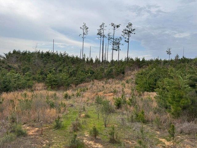 Land for sale in Grenada, Mississippi