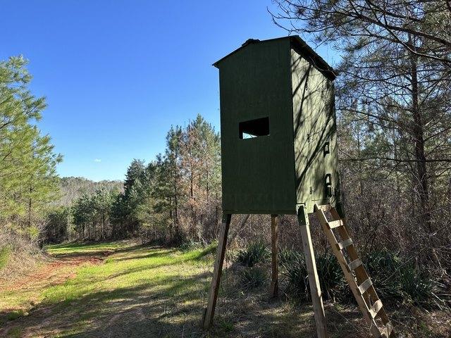 Land for sale in Millport, Alabama
