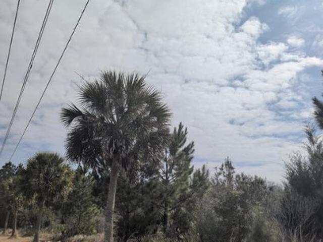 Land for sale in Summerdale, Alabama