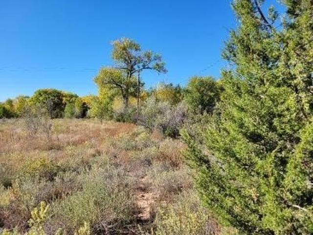 Land for sale in New Mexico