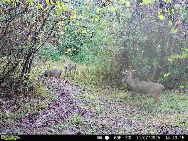 Land for sale in Warsaw, Ohio