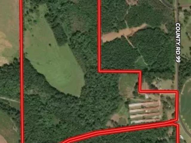Land for sale in Geneva, Alabama