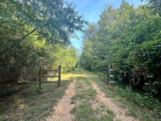Land for sale in Millport, Alabama
