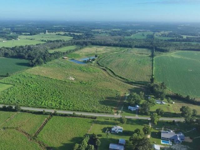 Land for sale in Ashford, Alabama