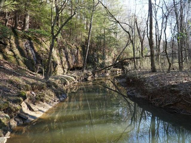 Land for sale in Haleyville, Alabama