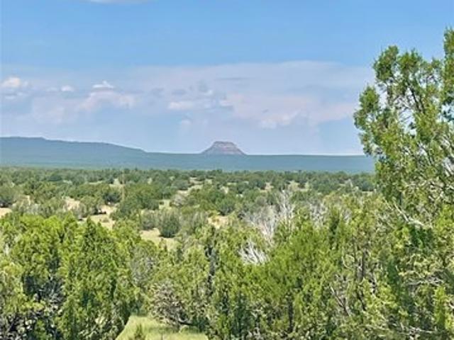 Land for sale in Villanueva, New Mexico