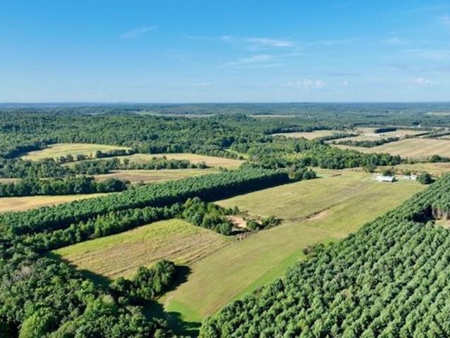 Land for sale in Fairchild, Eau Claire County