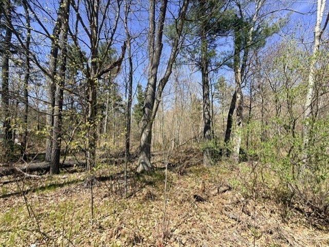 Land for sale in Sawyer, Wisconsin